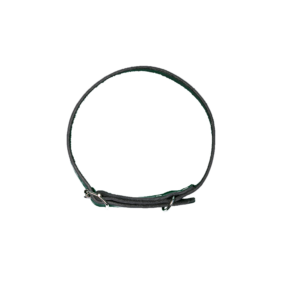 Hundhalsband 14mm 1