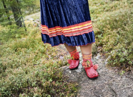 En del av den samiska näringen