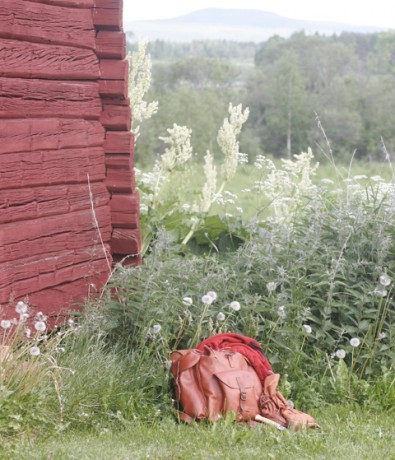 Med hjärta för miljön