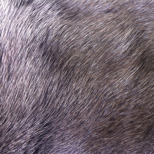 Renskinn silikonbeh 2